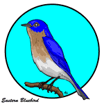 blue-bird.1f-1.gif